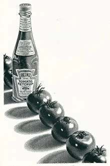 Tomato Collection: Heinz Tomato Ketchup Advertisement