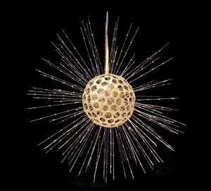 Rhizaria Collection: Heliosphaera actinota, radiolarian