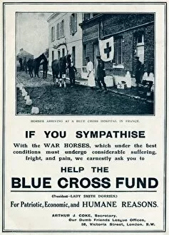 Needed Gallery: Help the Blue Cross fund 1915