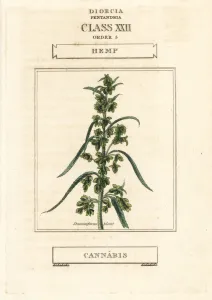 Drug Prints: Hemp, Cannabis sativa