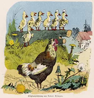Dandelion Prints: Hen and Chicks 1902