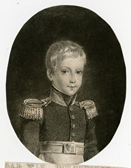 Artois Collection: Henri of Artois, Duke of Bordeaux