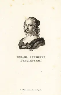 Ringlets Prints: Henrietta Anne of England, Duchess of Orleans, 1644-1670
