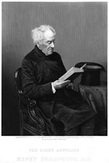 Phillpotts Prints: Henry Phillpotts - 4