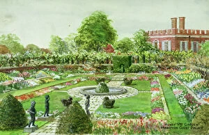 Salmon Collection: Henry VIII Garden, Hampton Court Palace, Surrey