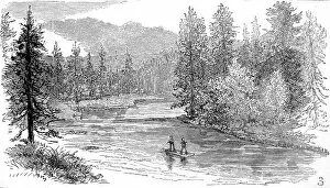 Salmon Gallery: Henrys Fork, Snake River, Yellowstone, 1883
