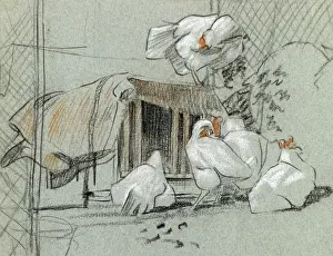 Hens Prints: Hens by a hen house