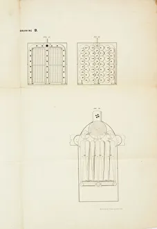 Images Dated 2012 June: 18 Jun 2012 Collection