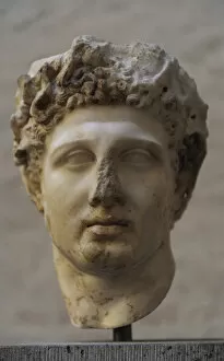 Images Dated 29th December 2012: Heracles head with wreath. 4th century BC
