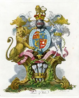 Heraldry - Prince of Wales