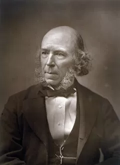 1820 Collection: Herbert Spencer / 1888 Pho