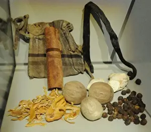 Herbs Prints: Herbs and spices used in food in the Middle Ages