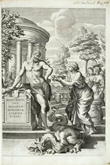 Images Dated 26th June 2014: Hercules honoured by the Hesperides