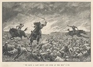 Rounding Prints: Herding Sheep, Australia