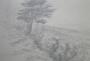 Frome Prints: Herefordshire scenery, from Castle Frome hill