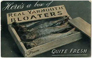 Catch Prints: Heres a box of Real Yarmouth Bloaters - quite fresh