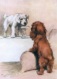Puppy Collection: Heres How by Cecil Aldin