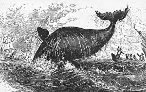 Writting Gallery: Herman Melville