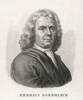 Hermann Boerhaave / Anon