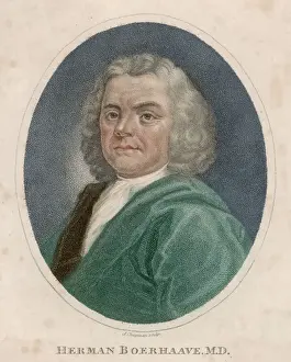 Hermann Boerhaave / Wilkes