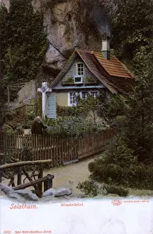 Hermit Prints: Hermit in garden of his Hermitage at Solothurn, Switzerland