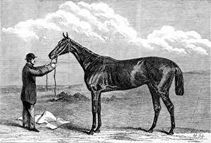 Engraved Collection: Hermit, winner of the 1867 Epsom Derby