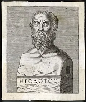 Herodotus / Anon Bust