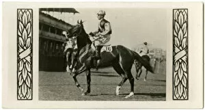 Jockeys Gallery: Heroic, Australian race horse