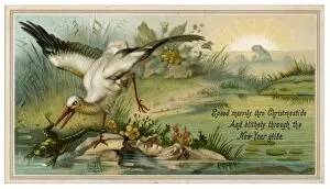 Evidently Collection: Heron and Frog