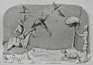 Horseback Prints: Heron hunting. Engraving after a miniature