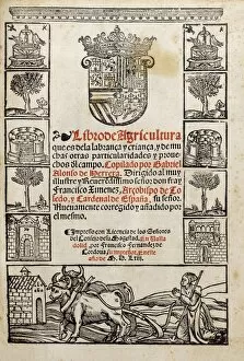 Agronomist Collection: HERRERA, Gabriel Alonso de (1470-1539)