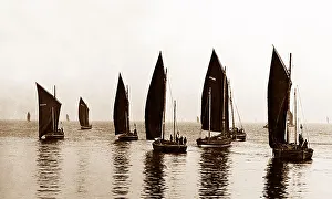 Herring boats off Peterhead, Scotland, Victorian period