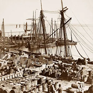 Herring Prints: Herring boats, Scrabster, Scotland