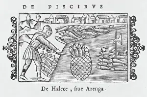 Lands Prints: Herring Fishing 1555