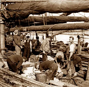Herring fishing, Great Yarmouth