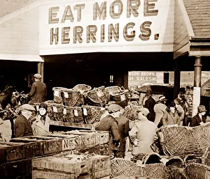 Herring fishing, Great Yarmouth