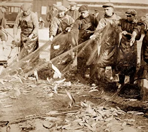 Herring fishing, Great Yarmouth