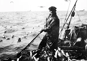 Yarmouth Prints: Herring fishing, Great Yarmouth, early 1900s