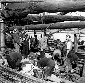 Herring fishing, Great Yarmouth, early 1900s