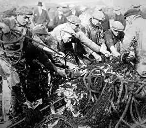 Herring fishing, Great Yarmouth, early 1900s