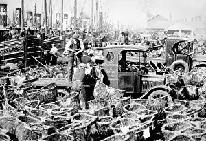 Herring fishing, Great Yarmouth, early 1900s