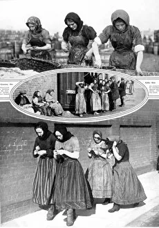 Trough Gallery: Herring Fleet Fisher Women, East Coast of Britain, 1913