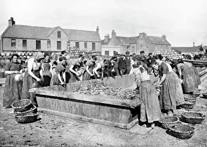 Herring gutters Stornoway Isle of Lewis Victorian period
