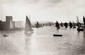 The herring season at Barra, Outer Hebrides, Scotland