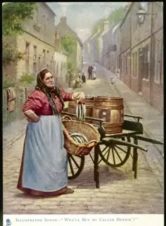 Herring Seller / 1904