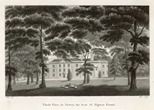 Lawns Prints: Hester Thrale / Home