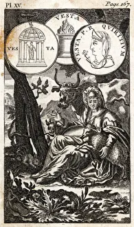Vestal Collection: HESTIA / TOOKE