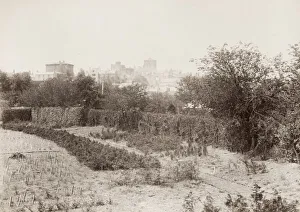 Frozen Gallery: Hexham from the Nurseries