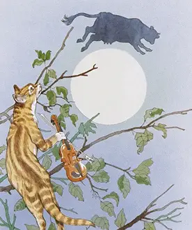 Jumps Prints: Hey Diddle Diddle - Nursery Rhyme