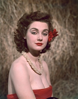 Knowing Collection: HIBISCUS GIRL 1950S 2 / 4